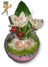 izmir çiçekçiler 5 adet kandil orkideden aranjman tanzimi çiçeği