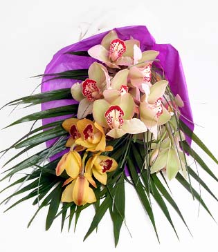 1 dal orkide çiçeği buketi çiçekçi dükkanından  
