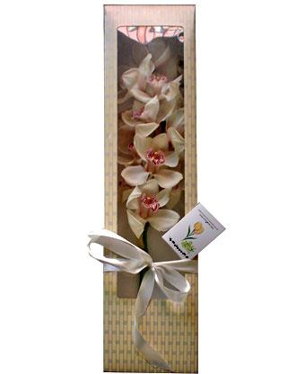 özel kutu içerisinde tek dal orkide çiçeği izmirde çiçek satışı 