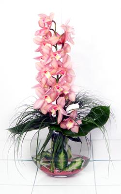 izmir çiçek gönder cam içerisinde tek dal kesme orkide çiçeği
