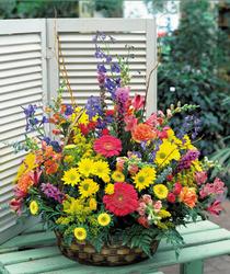ucuz çiçek satışı Özel Karışık mevsim sepeti çiçeği izmir çiçek gönder