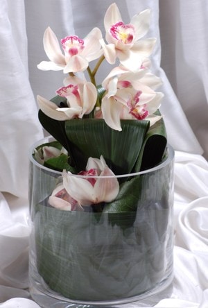 vazo içerisinde tek dal orkide çiçeği çiçekçi adresleri 
