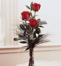 izmir cicekci Cam içinde 3 masum kırmızı gül izmir çiçek gönder