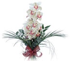 izmir çiçek gönder tek dal kesme orkide çiçeği buketi