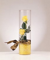 kutu içerisinde 3 adet gül tanzimi çiçek gönder