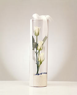şeffaf kutu içerisinde 3 adet beyaz gül ucuz çiçek satışı